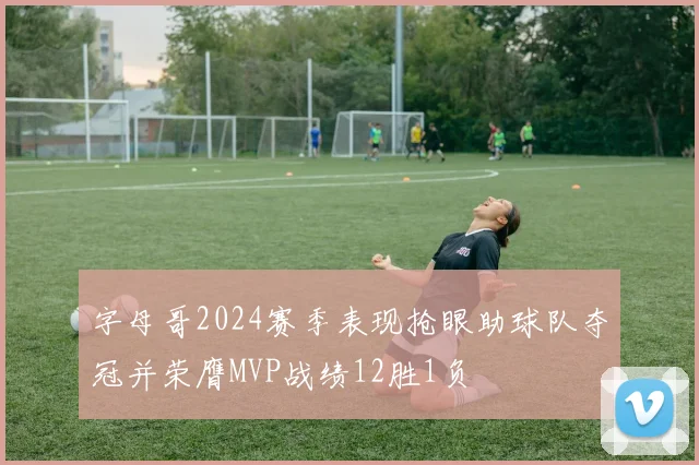 字母哥2024赛季表现抢眼助球队夺冠并荣膺MVP战绩12胜1负