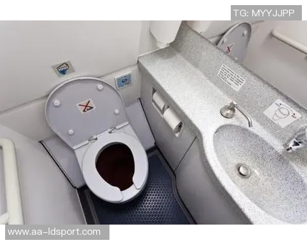 最疯狂的旅行体验皮尔斯分享私人飞机与普通客机厕所的奇妙对比